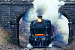 Steamrail 3