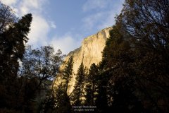 yosemite-late-afternoon